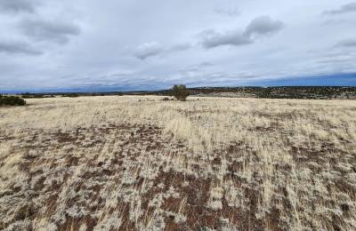 1.04 Acres in Apache County, AZ