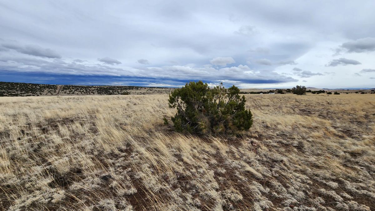 1.04 Acres in Apache County, AZ - Image 2