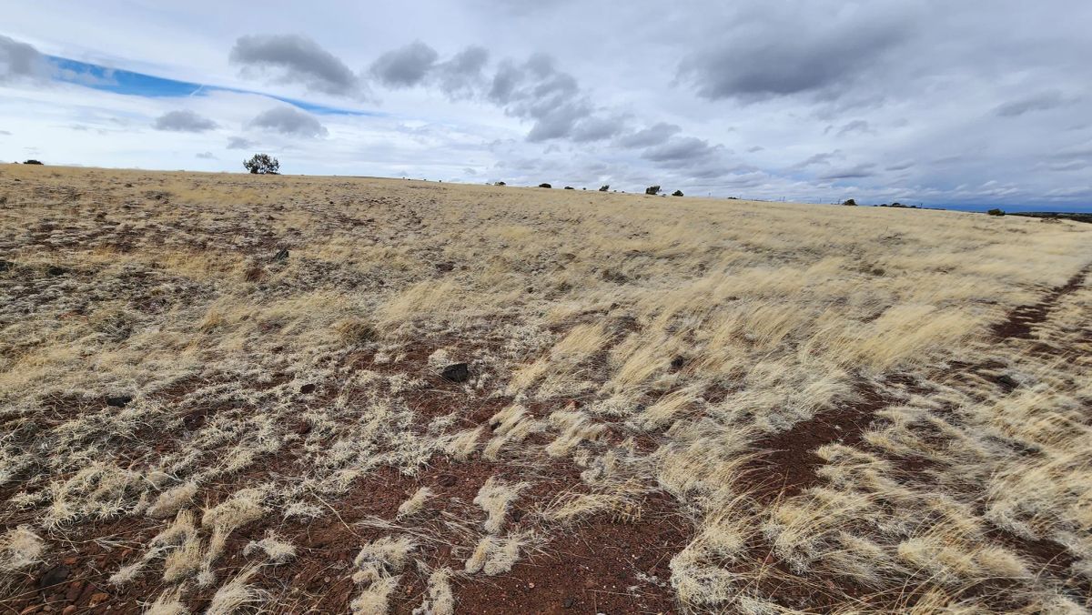 1.04 Acres in Apache County, AZ - Image 3