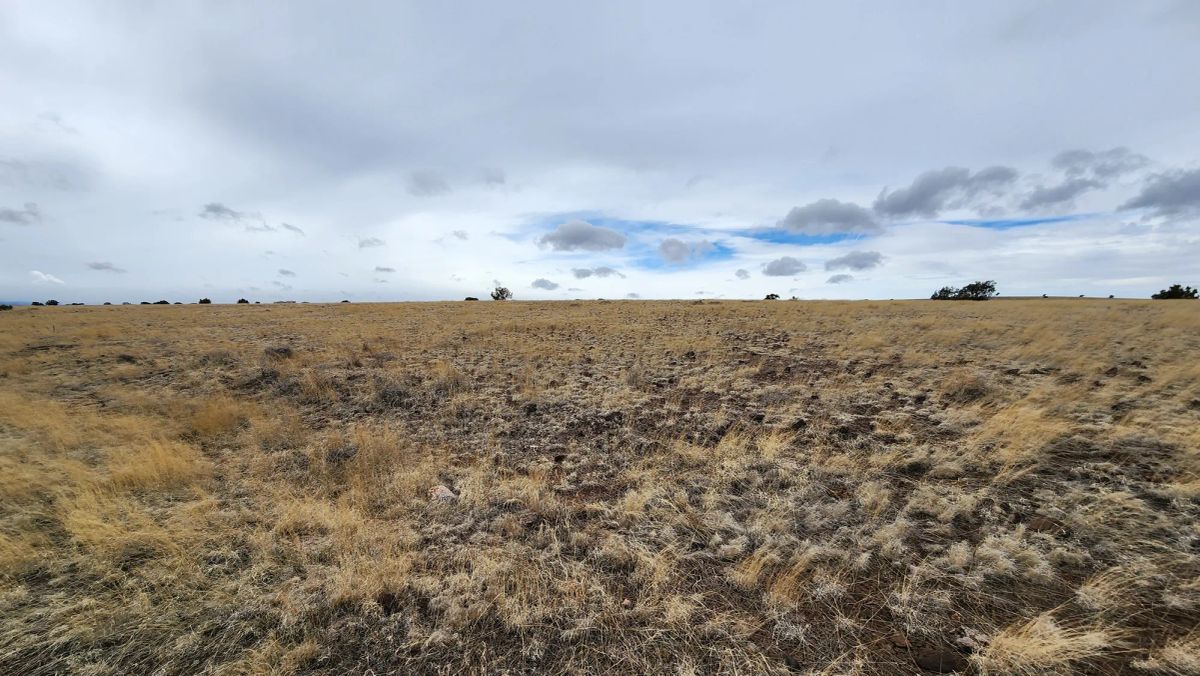 1.04 Acres in Apache County, AZ - Image 4