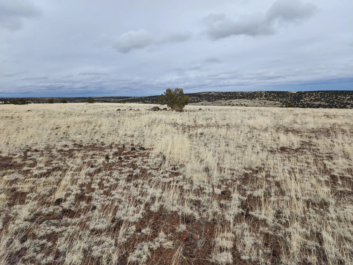 Decorative background for 1.04 Acres in Apache County, AZ image 6