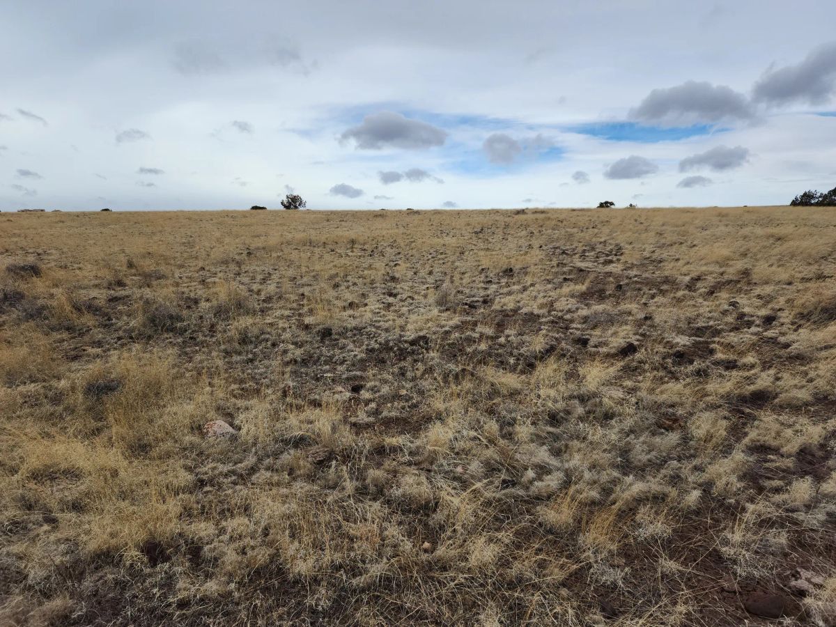 Decorative background for 1.04 Acres in Apache County, AZ image 7