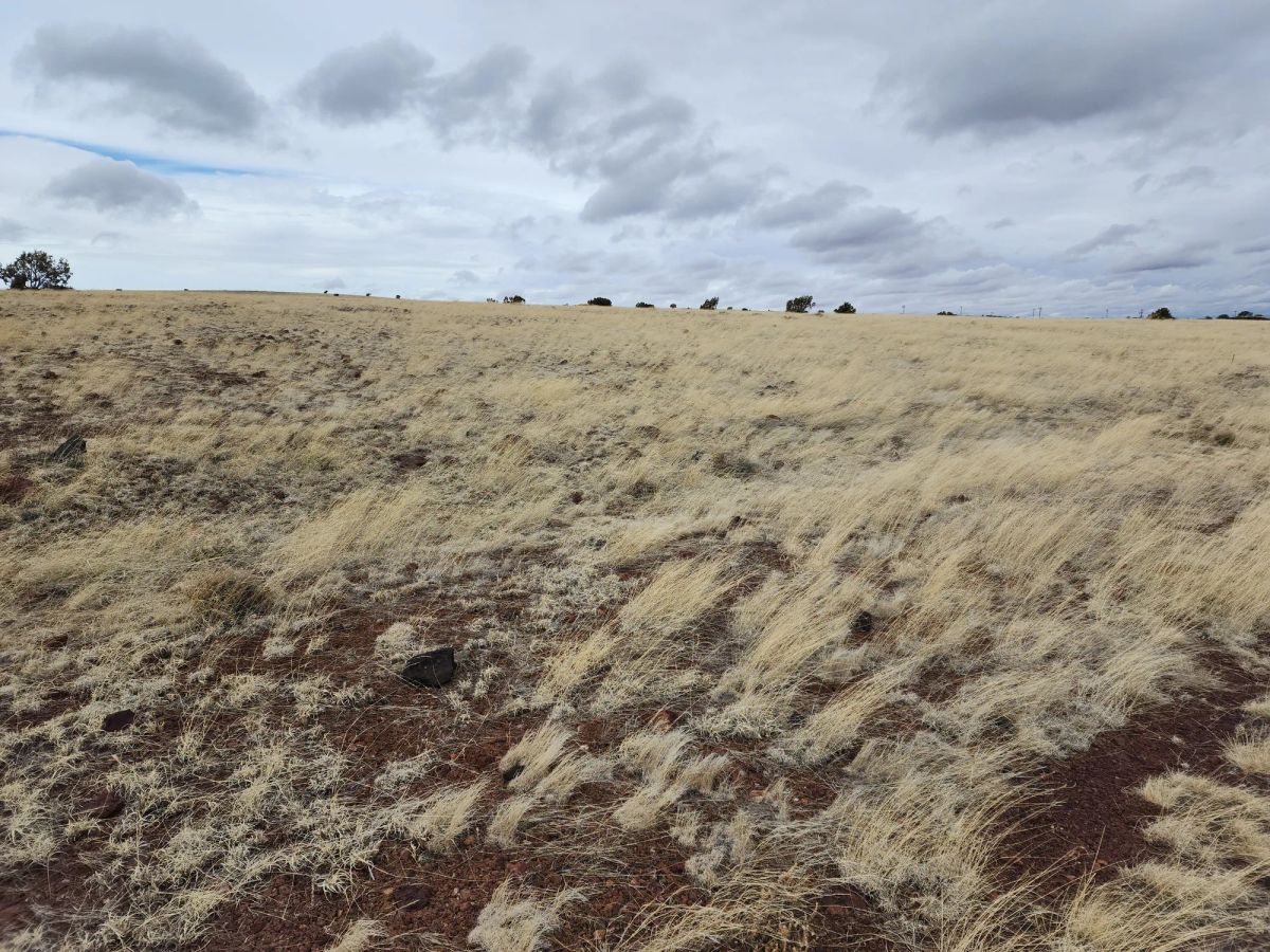 Decorative background for 1.04 Acres in Apache County, AZ image 8