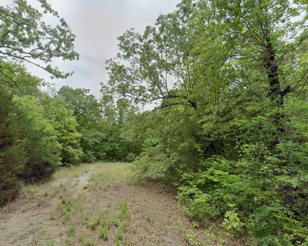 0.31 Acres in Izard County, AR - Main image