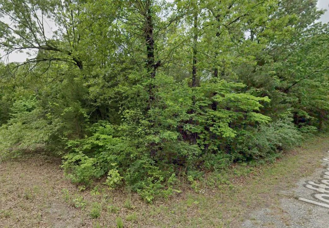 Decorative background for 0.31 Acres in Izard County, AR image 6