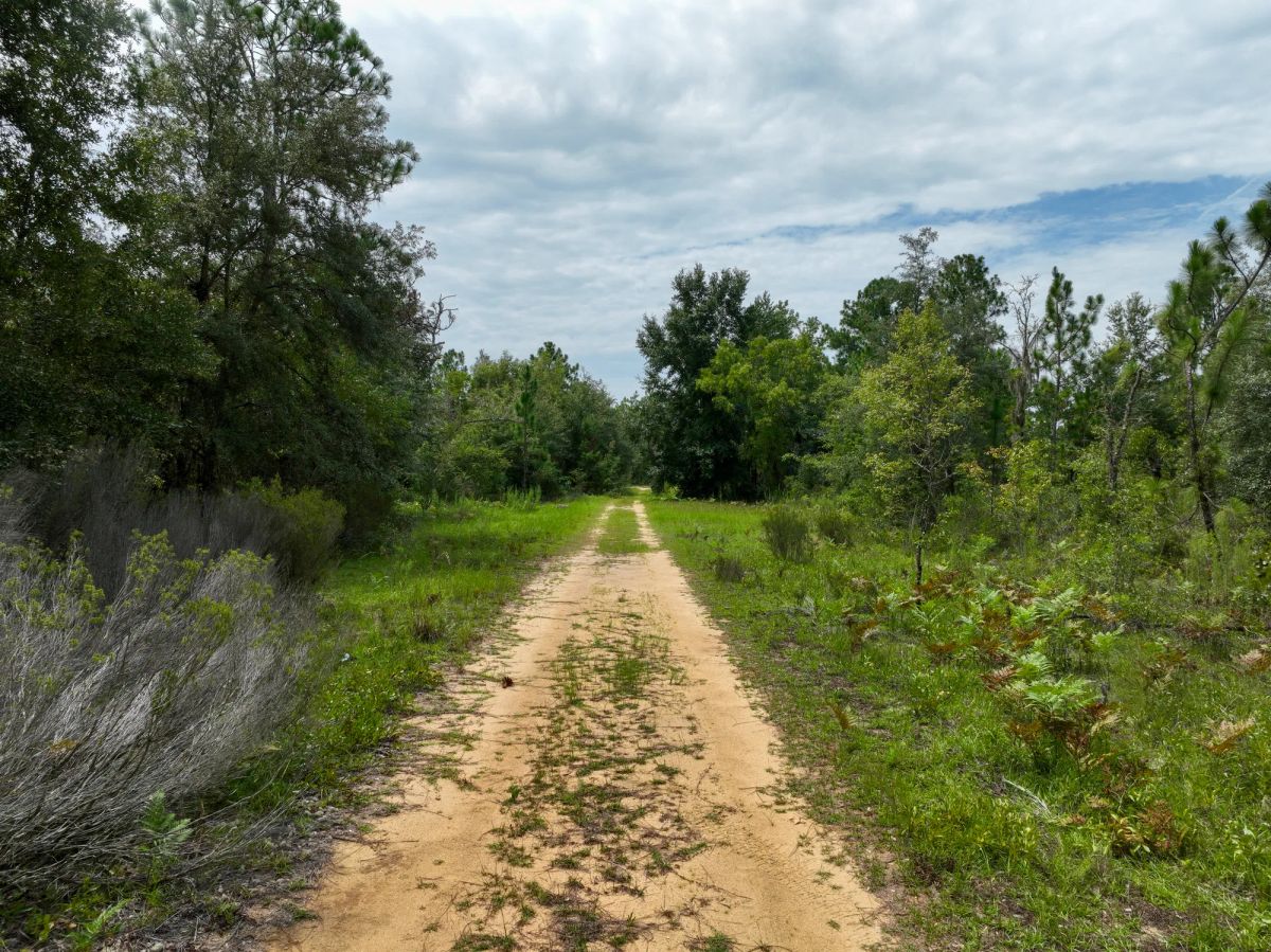 0.3 Acres in Putnam County, FL - Main image
