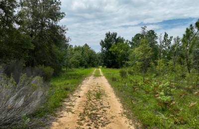 0.3 Acres in Putnam County, FL