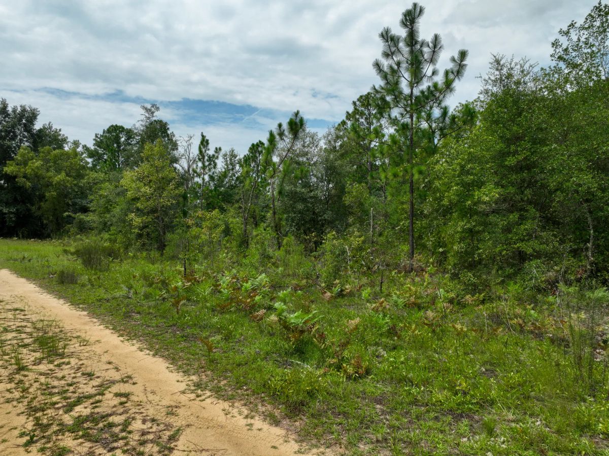 0.3 Acres in Putnam County, FL - Image 2