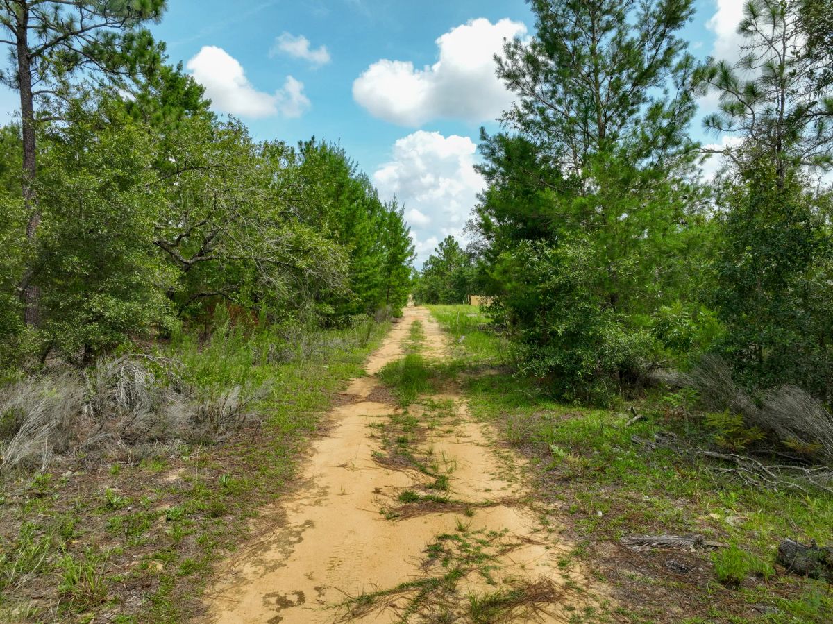 0.3 Acres in Putnam County, FL - Image 3