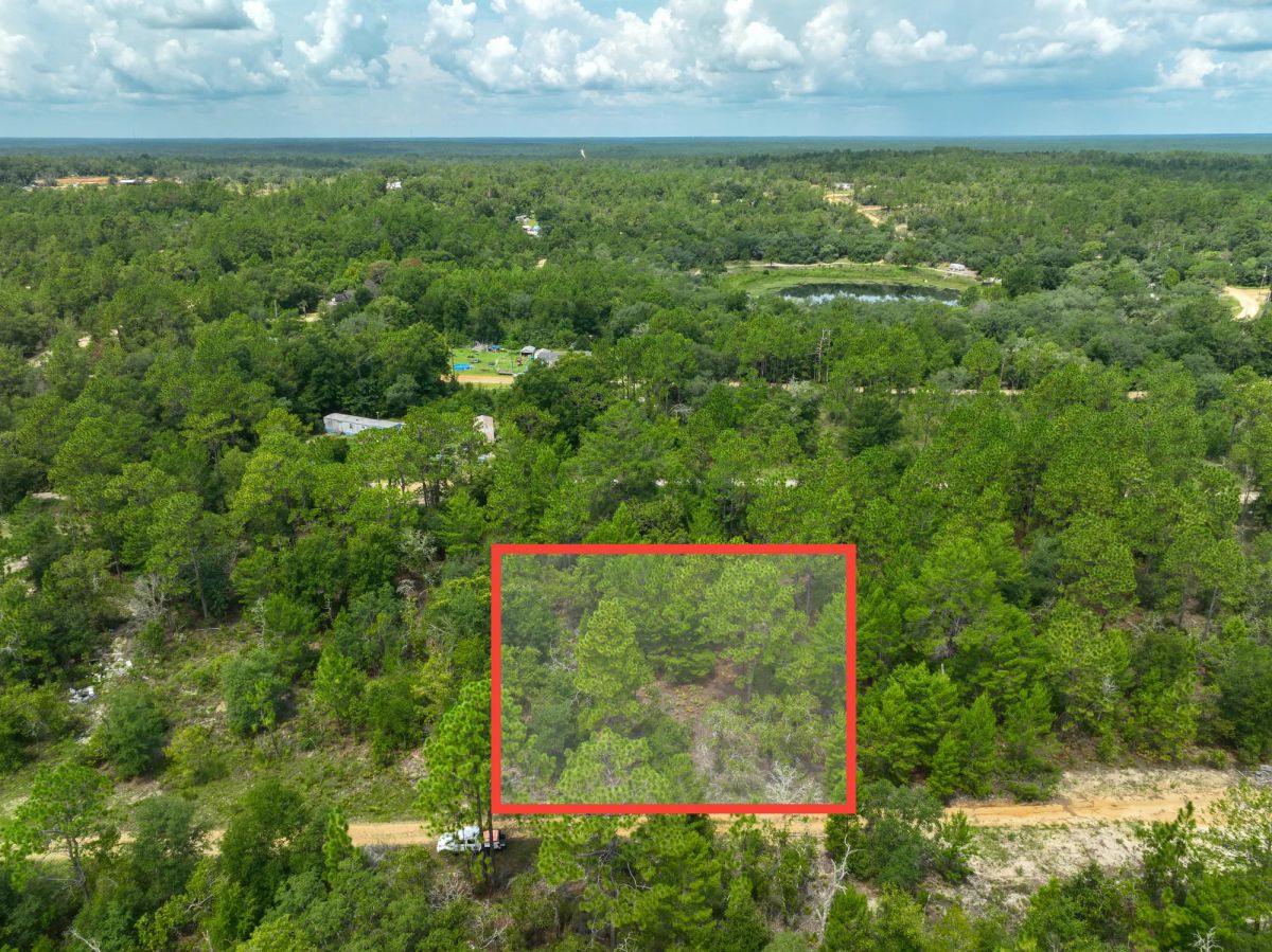 Decorative background for 0.3 Acres in Putnam County, FL image 5