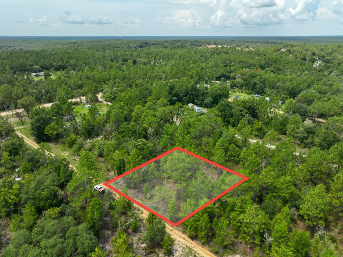 Decorative background for 0.3 Acres in Putnam County, FL image 6