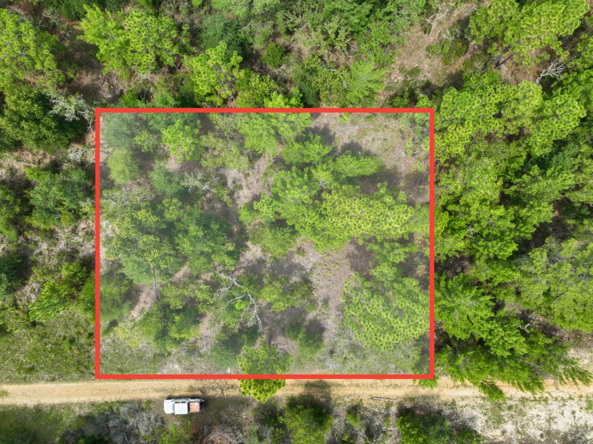 Decorative background for 0.3 Acres in Putnam County, FL image 7