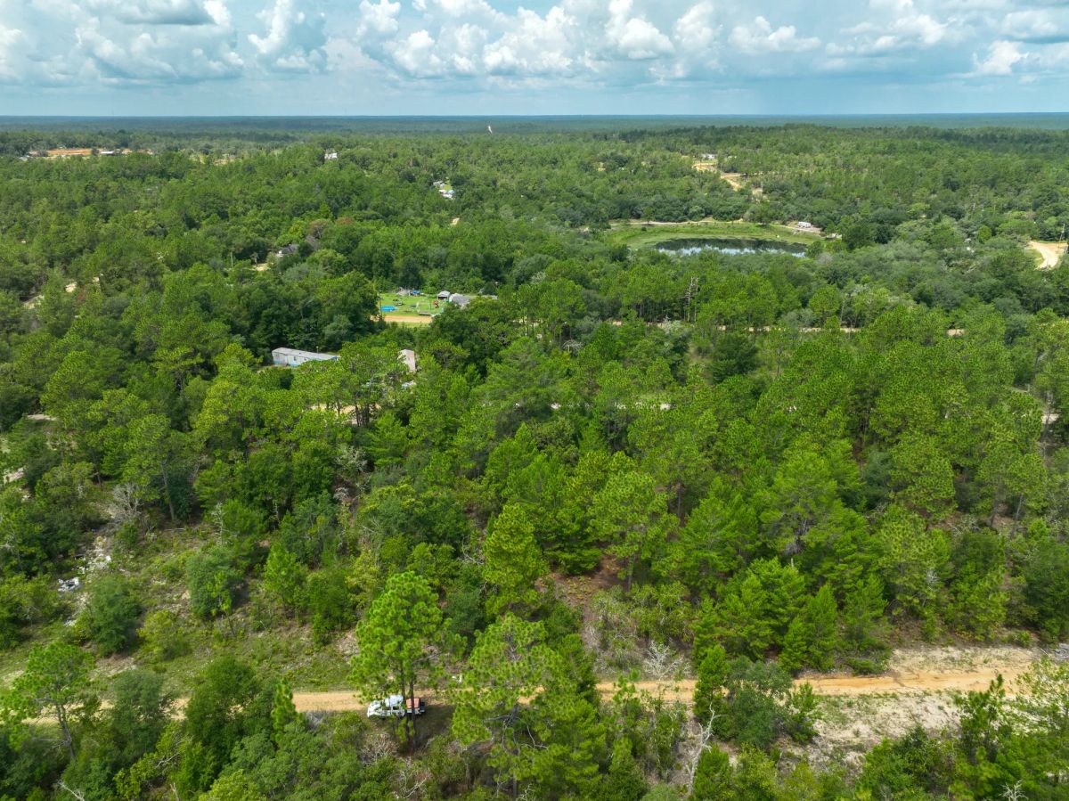 Decorative background for 0.3 Acres in Putnam County, FL image 9