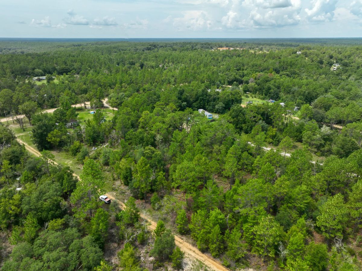 Decorative background for 0.3 Acres in Putnam County, FL image 10