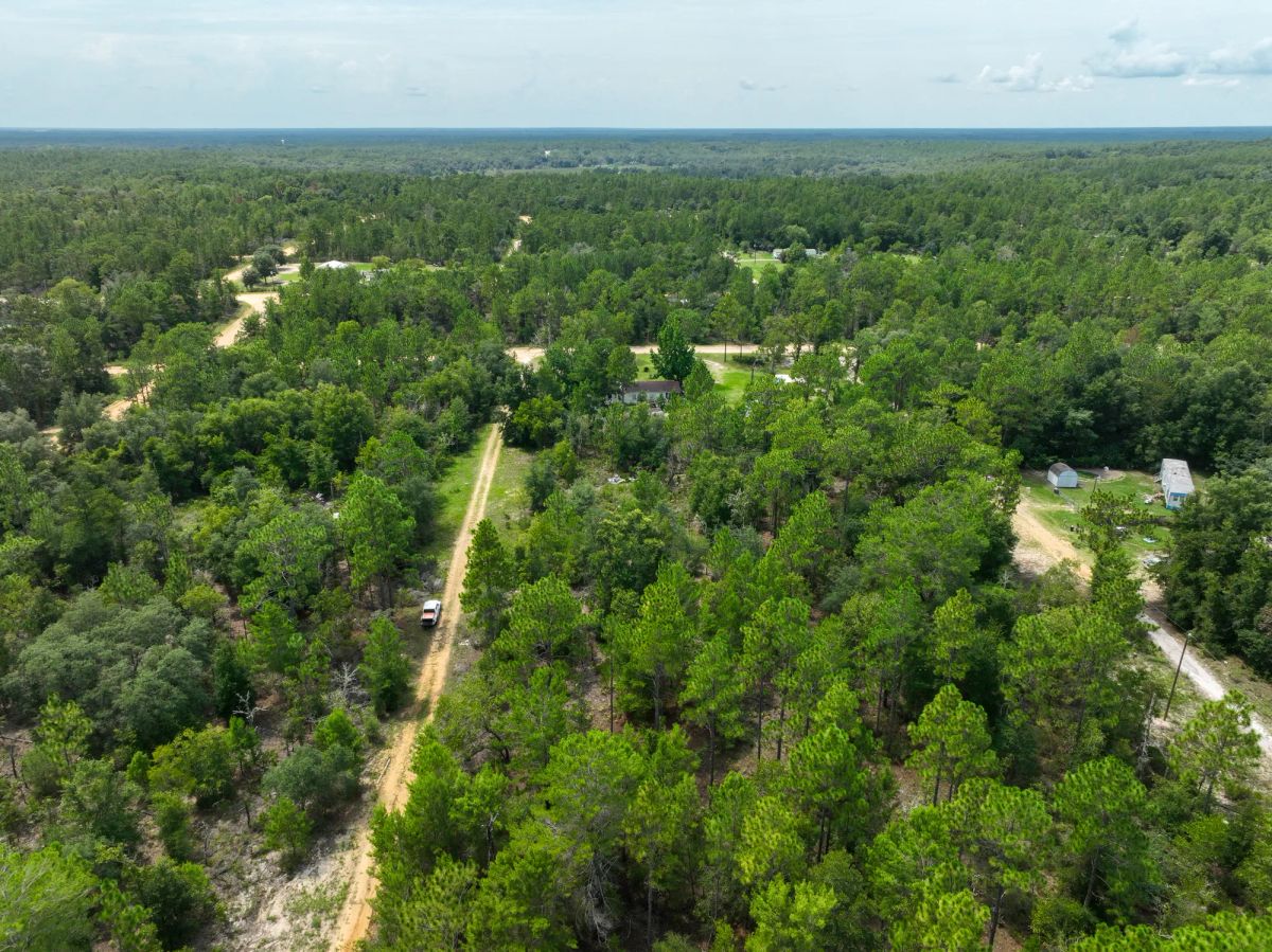 Decorative background for 0.3 Acres in Putnam County, FL image 13