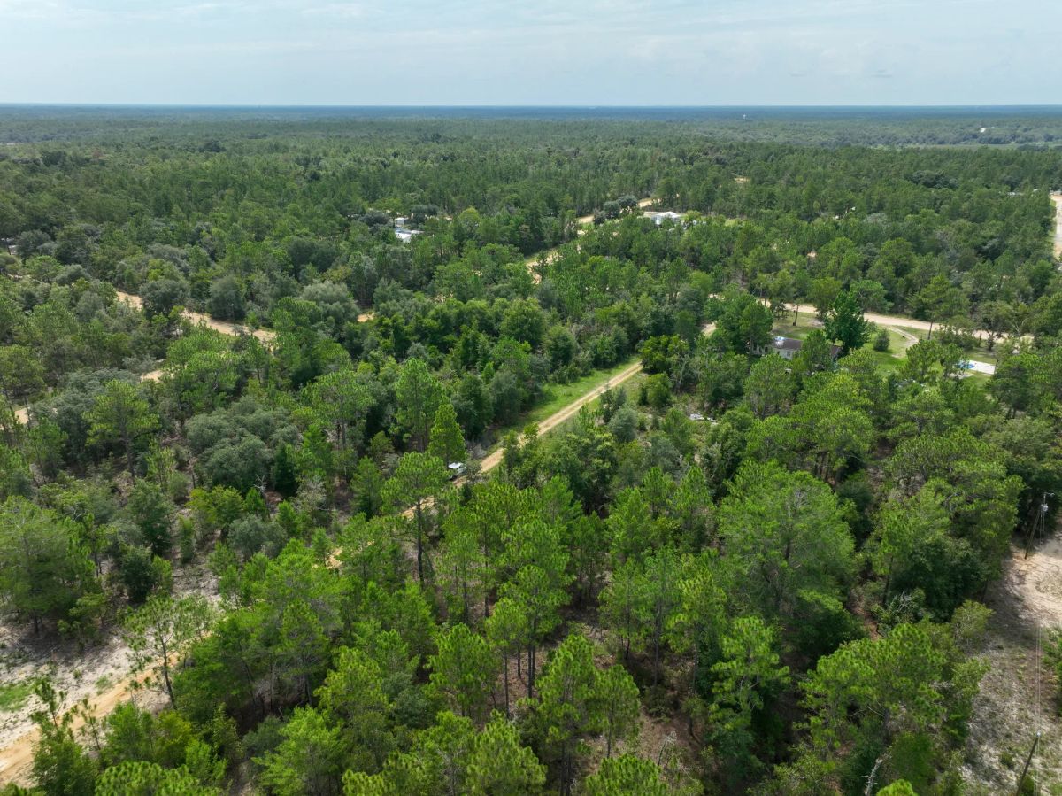 Decorative background for 0.3 Acres in Putnam County, FL image 14