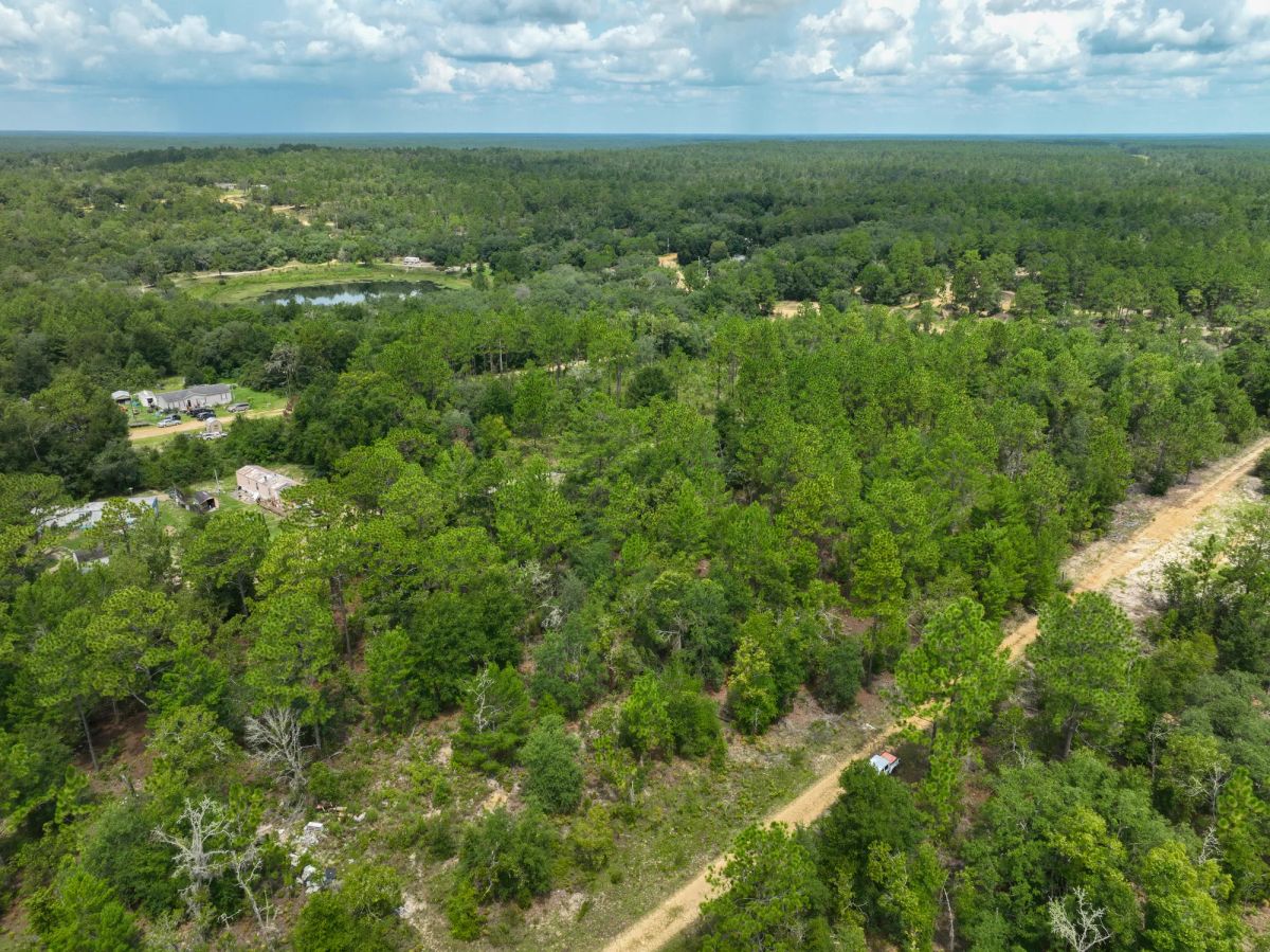 Decorative background for 0.3 Acres in Putnam County, FL image 15