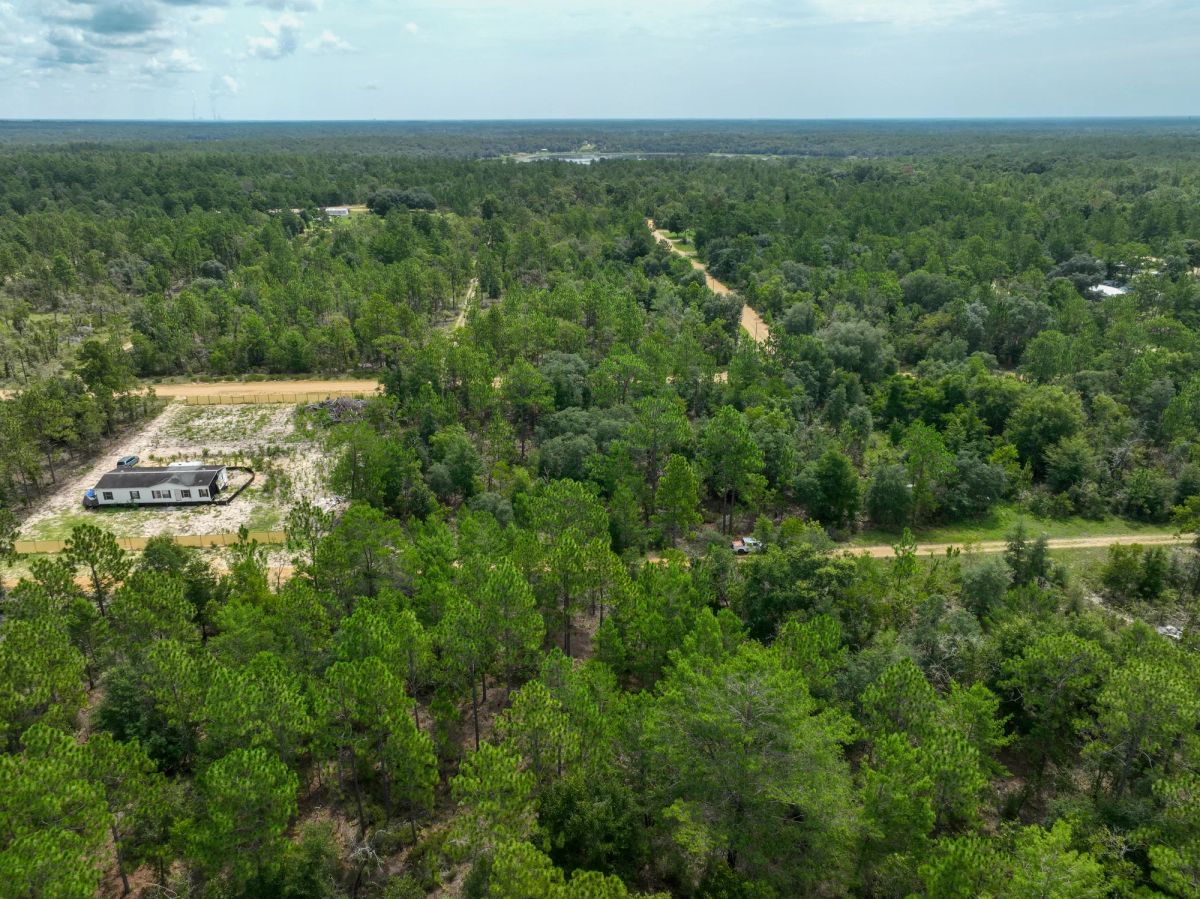 Decorative background for 0.3 Acres in Putnam County, FL image 16