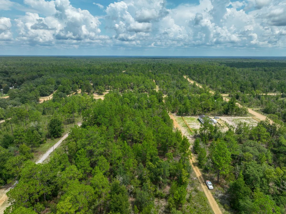 Decorative background for 0.3 Acres in Putnam County, FL image 17