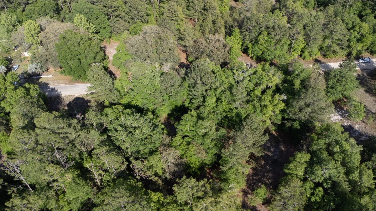 0.22 Acres in Putnam County, FL - Image 3