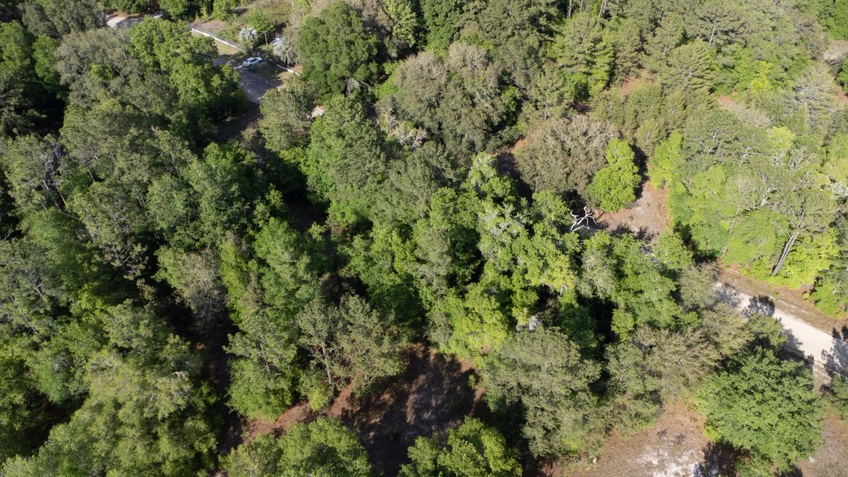 0.22 Acres in Putnam County, FL - Image 4