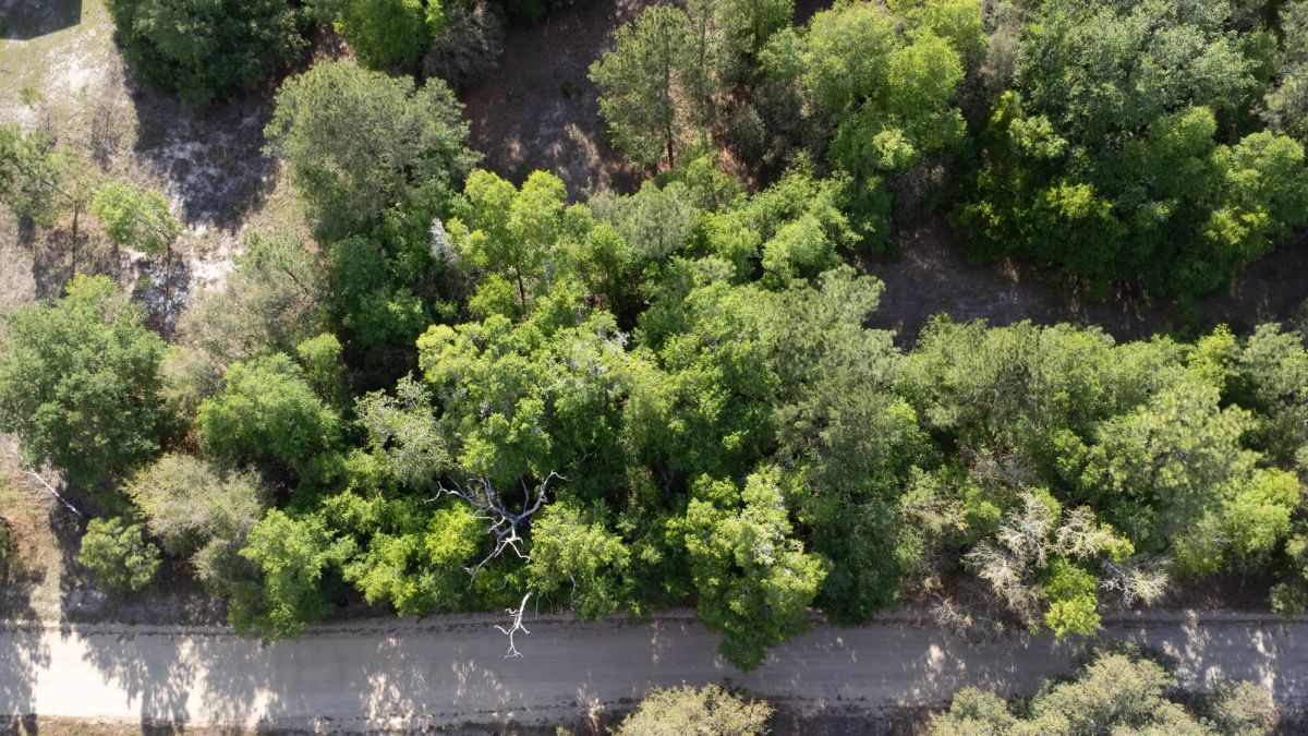 Decorative background for 0.22 Acres in Putnam County, FL image 6