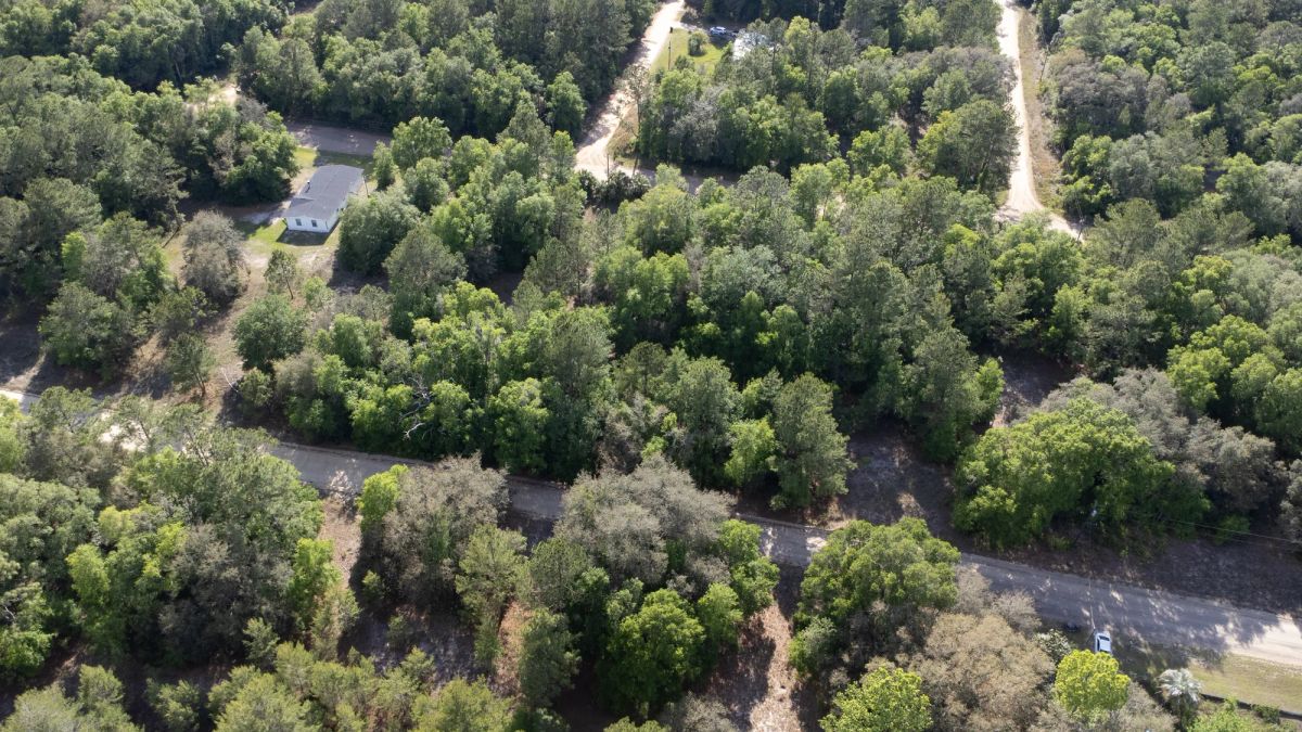 Decorative background for 0.22 Acres in Putnam County, FL image 8