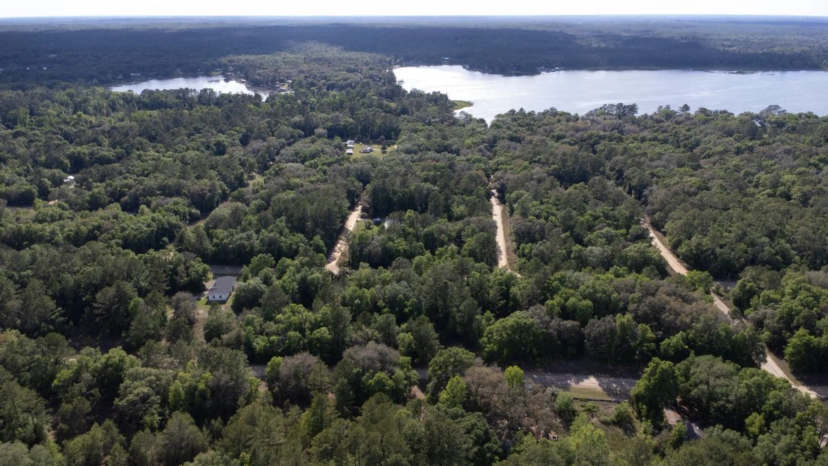 Decorative background for 0.22 Acres in Putnam County, FL image 9
