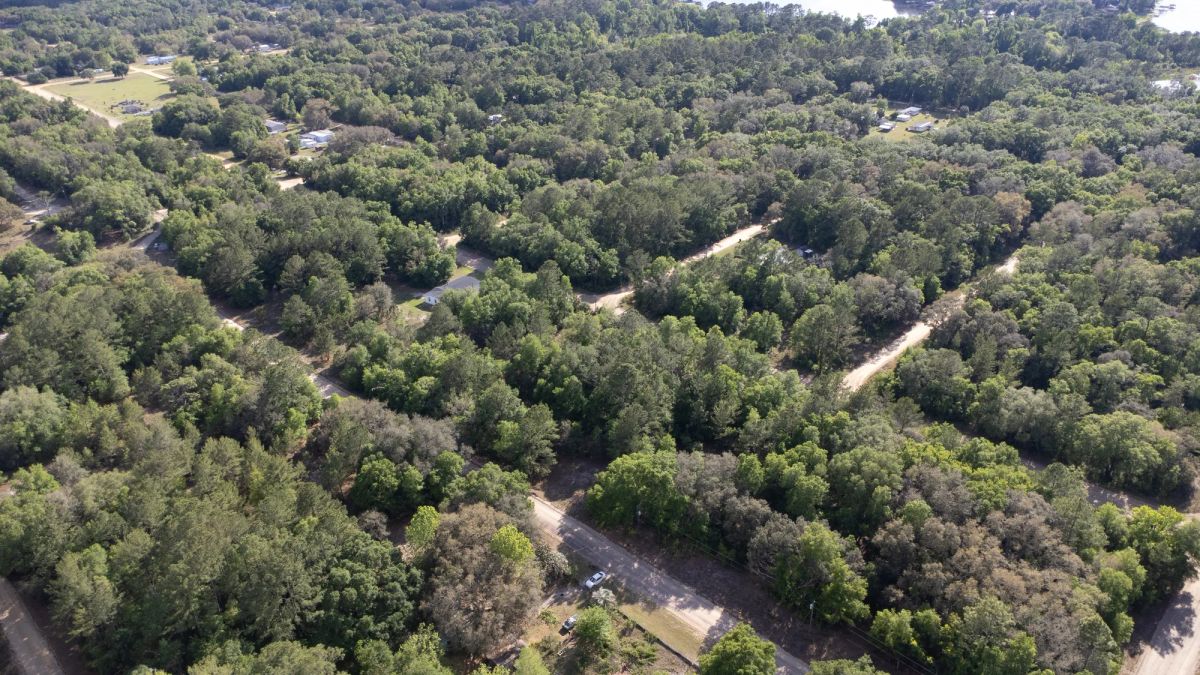 Decorative background for 0.22 Acres in Putnam County, FL image 10