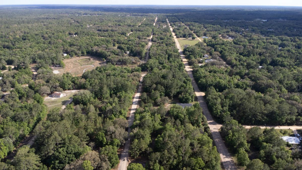 Decorative background for 0.22 Acres in Putnam County, FL image 11