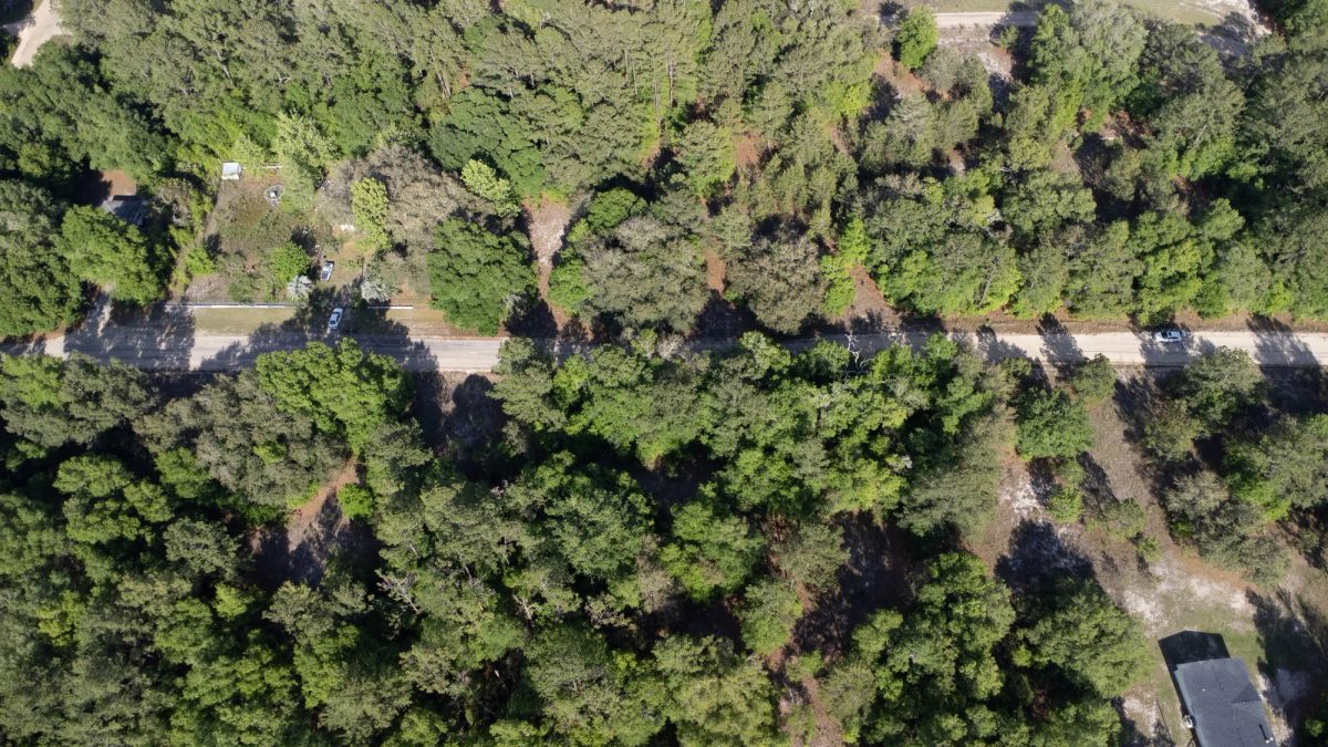 Decorative background for 0.22 Acres in Putnam County, FL image 13
