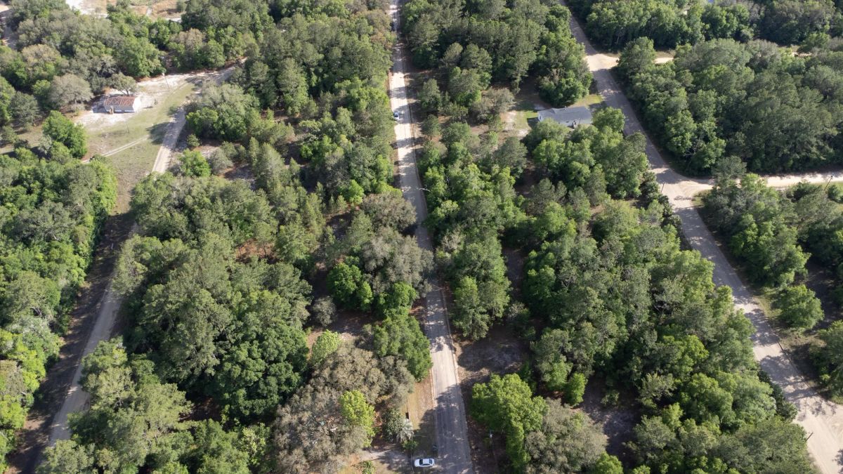 Decorative background for 0.22 Acres in Putnam County, FL image 14