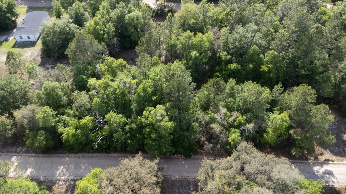 Decorative background for 0.22 Acres in Putnam County, FL image 17