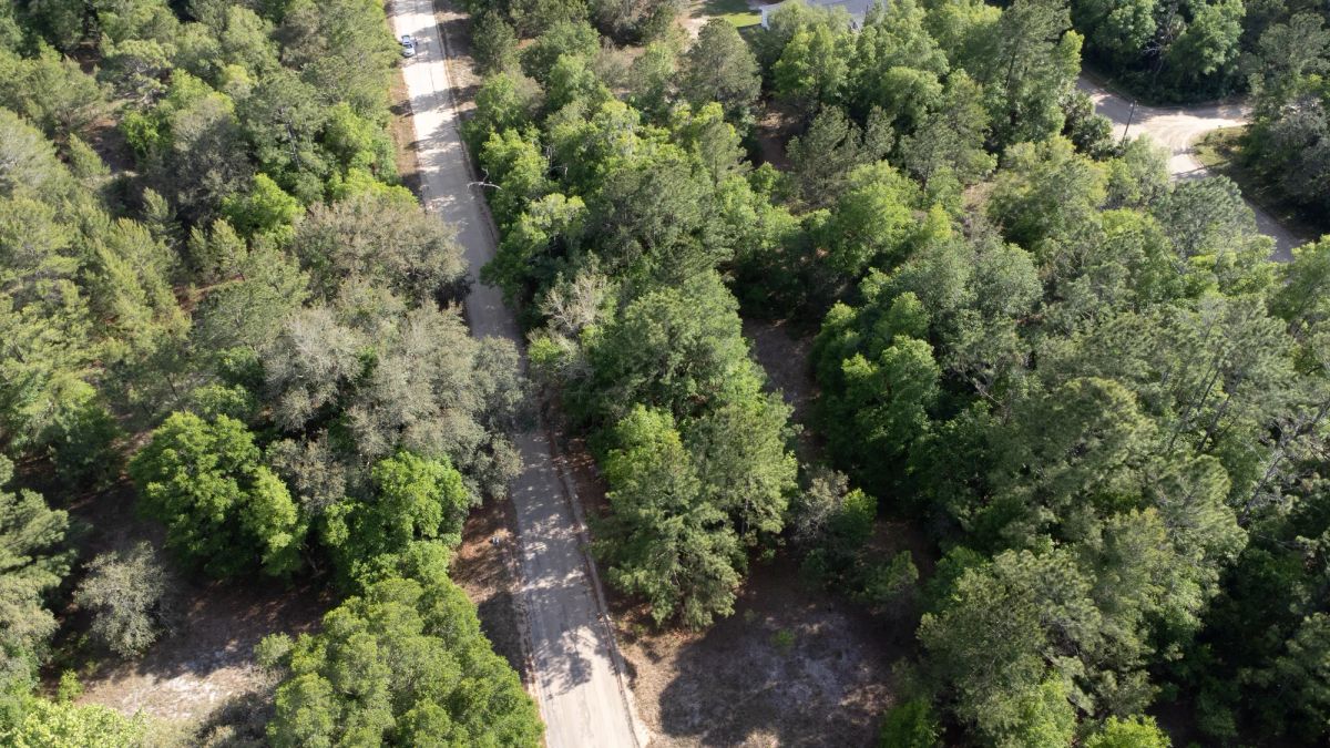 Decorative background for 0.22 Acres in Putnam County, FL image 18