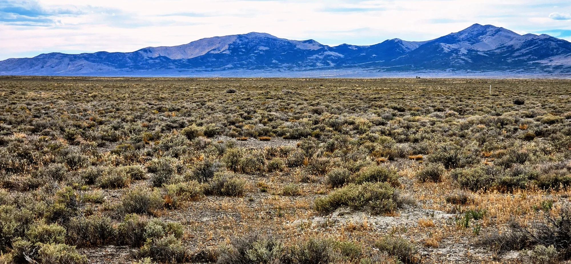20.26 Acres in Elko County, NV in Elko County, NV