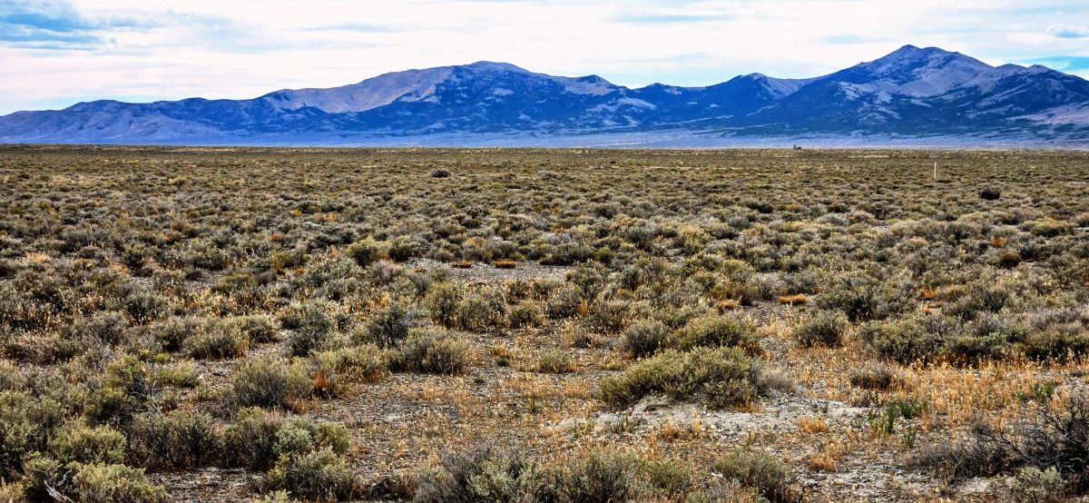 20.26 Acres in Elko County, NV - Main image