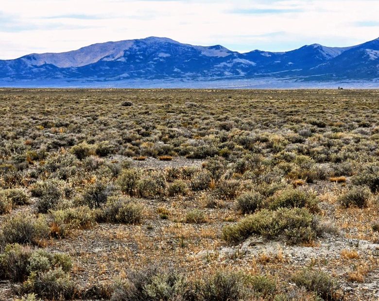 20.26 Acres in Elko County, NV in Elko County, NV