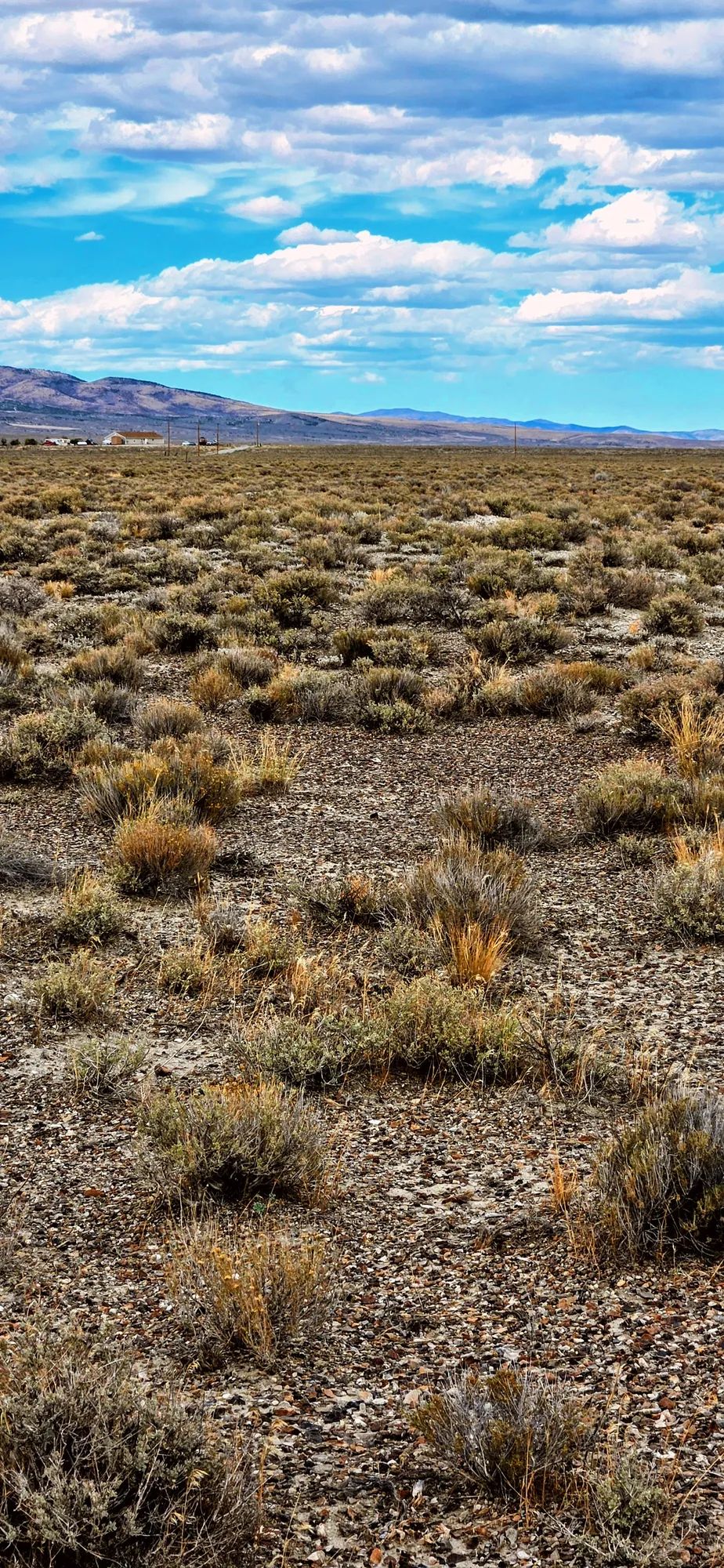 20.26 Acres in Elko County, NV - Image 4