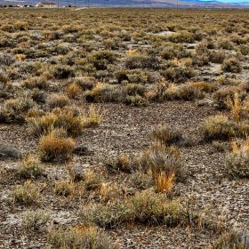 20.26 Acres in Elko County, NV in Elko County, NV