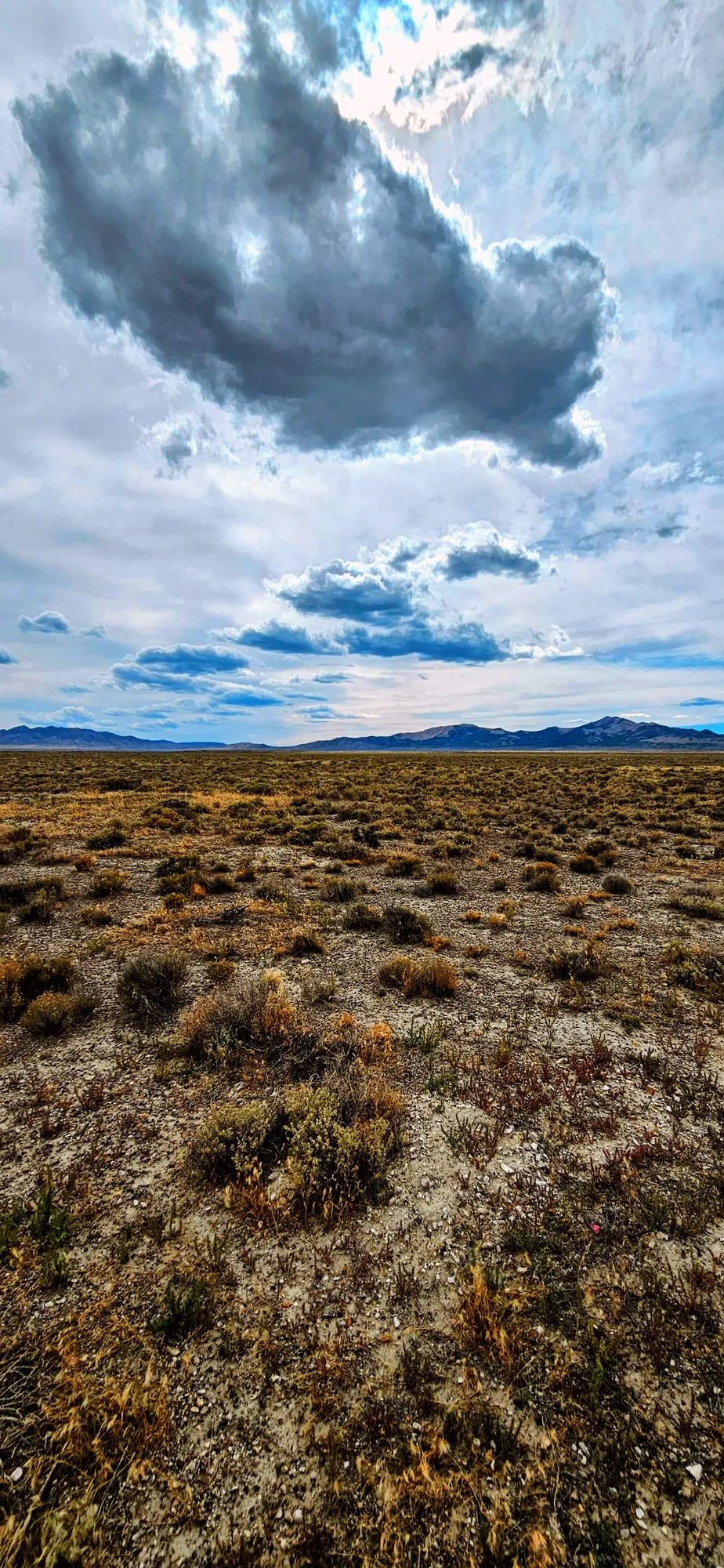Decorative background for 20.26 Acres in Elko County, NV image 5