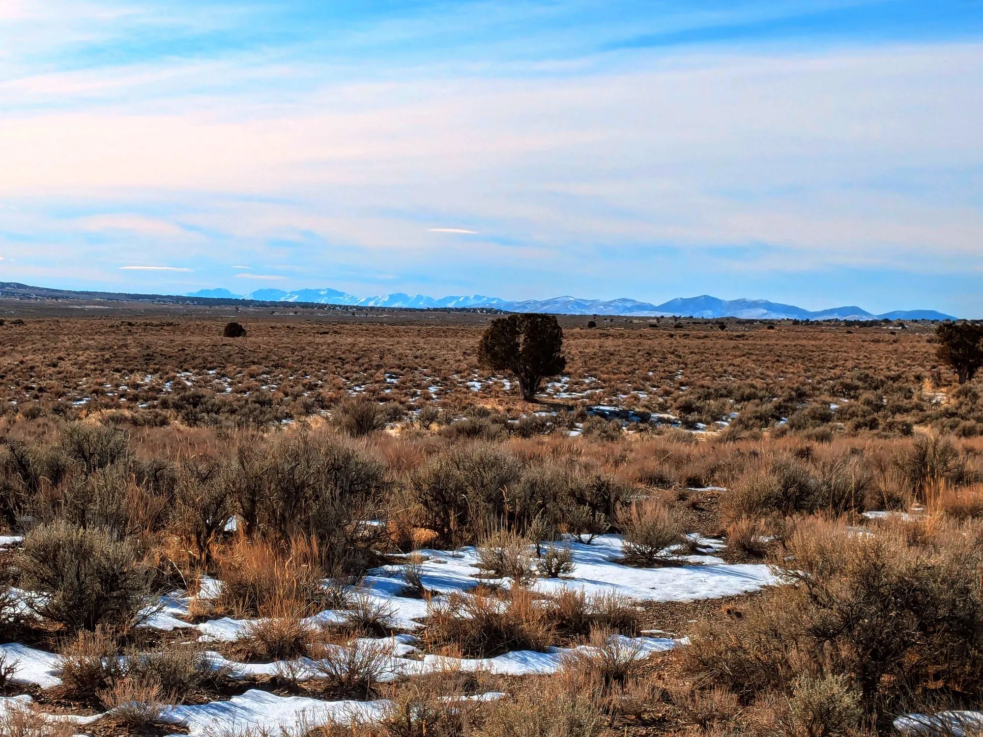 40 Acres in Elko County, NV in Elko County, NV