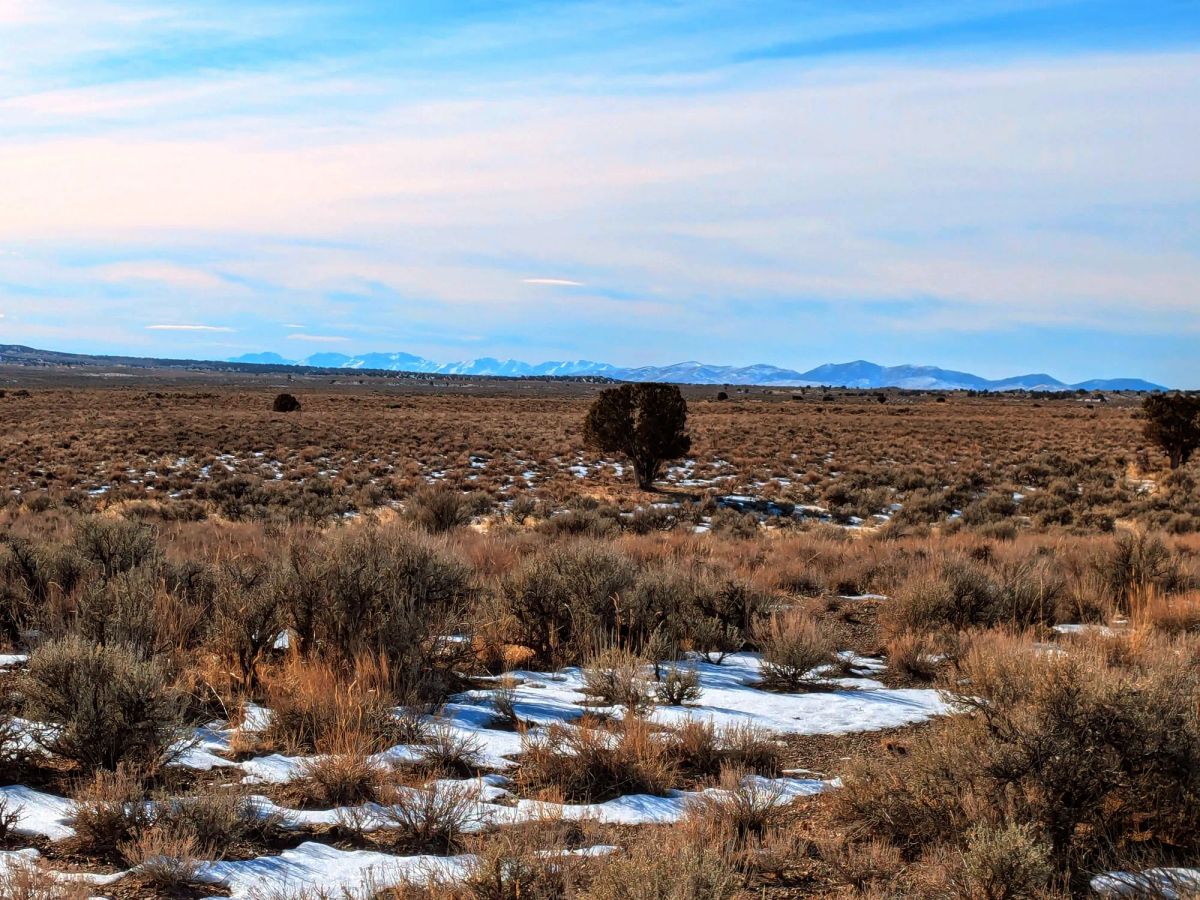 40 Acres in Elko County, NV - Main image