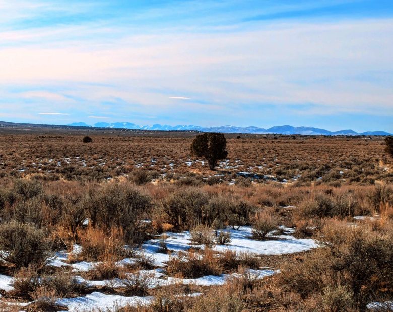 40 Acres in Elko County, NV in Elko County, NV