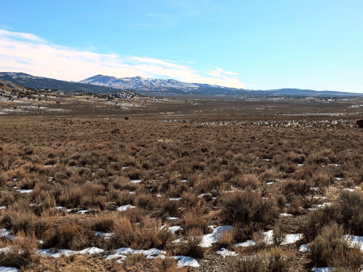 40 Acres in Elko County, NV - Image 2