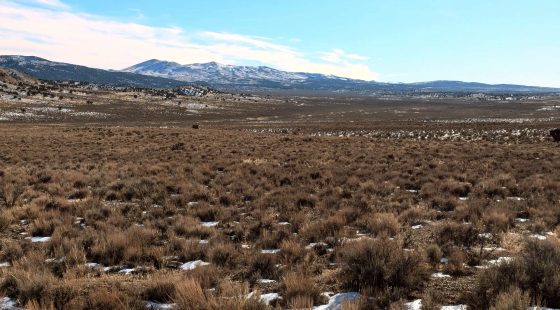 40 Acres in Elko County, NV in Elko County, NV