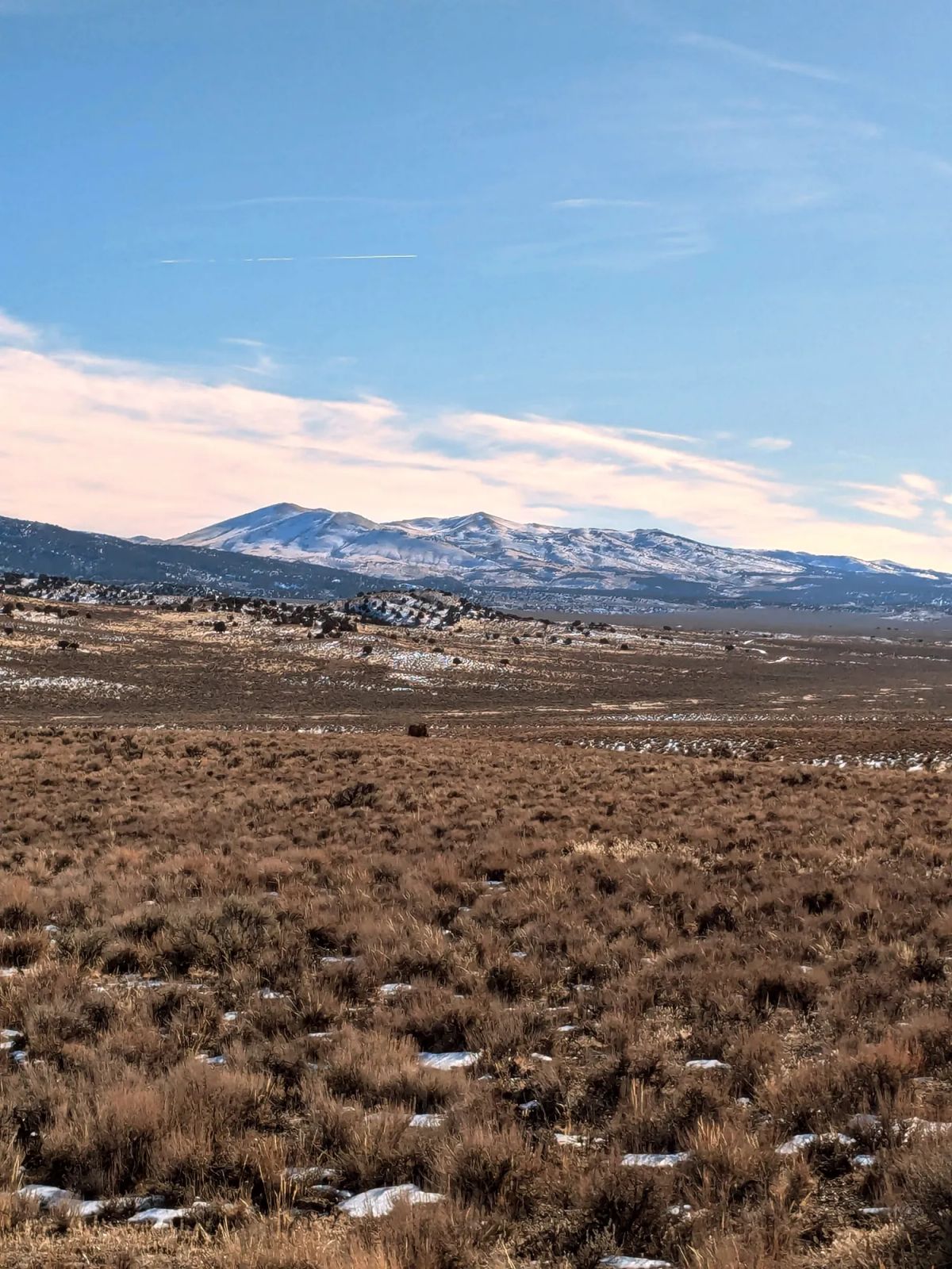 40 Acres in Elko County, NV - Image 3