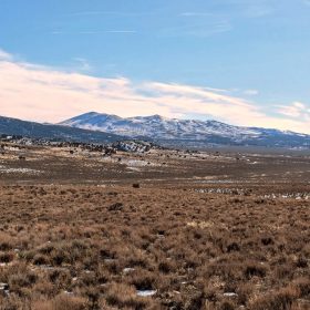 40 Acres in Elko County, NV in Elko County, NV