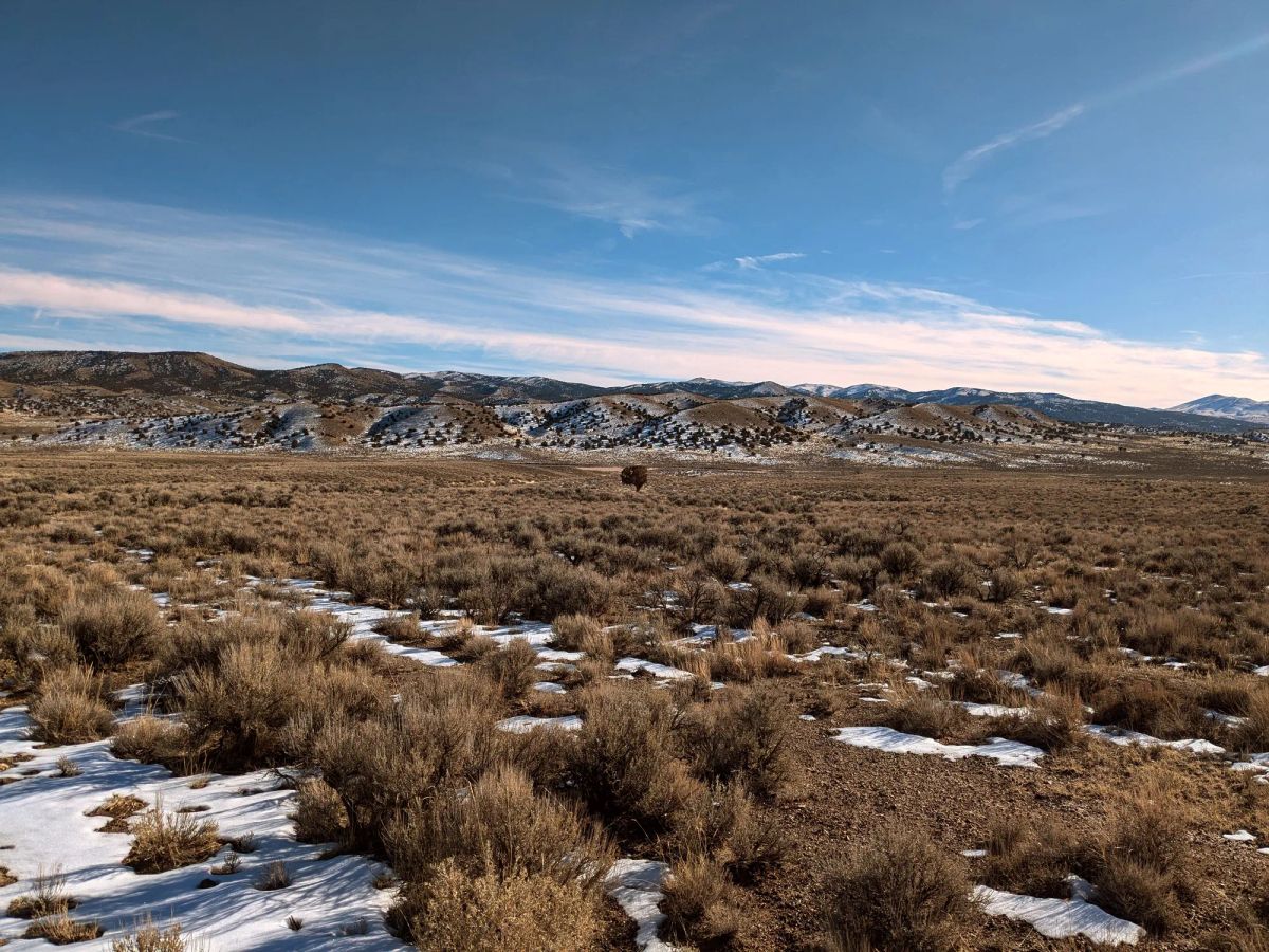 Decorative background for 40 Acres in Elko County, NV image 5
