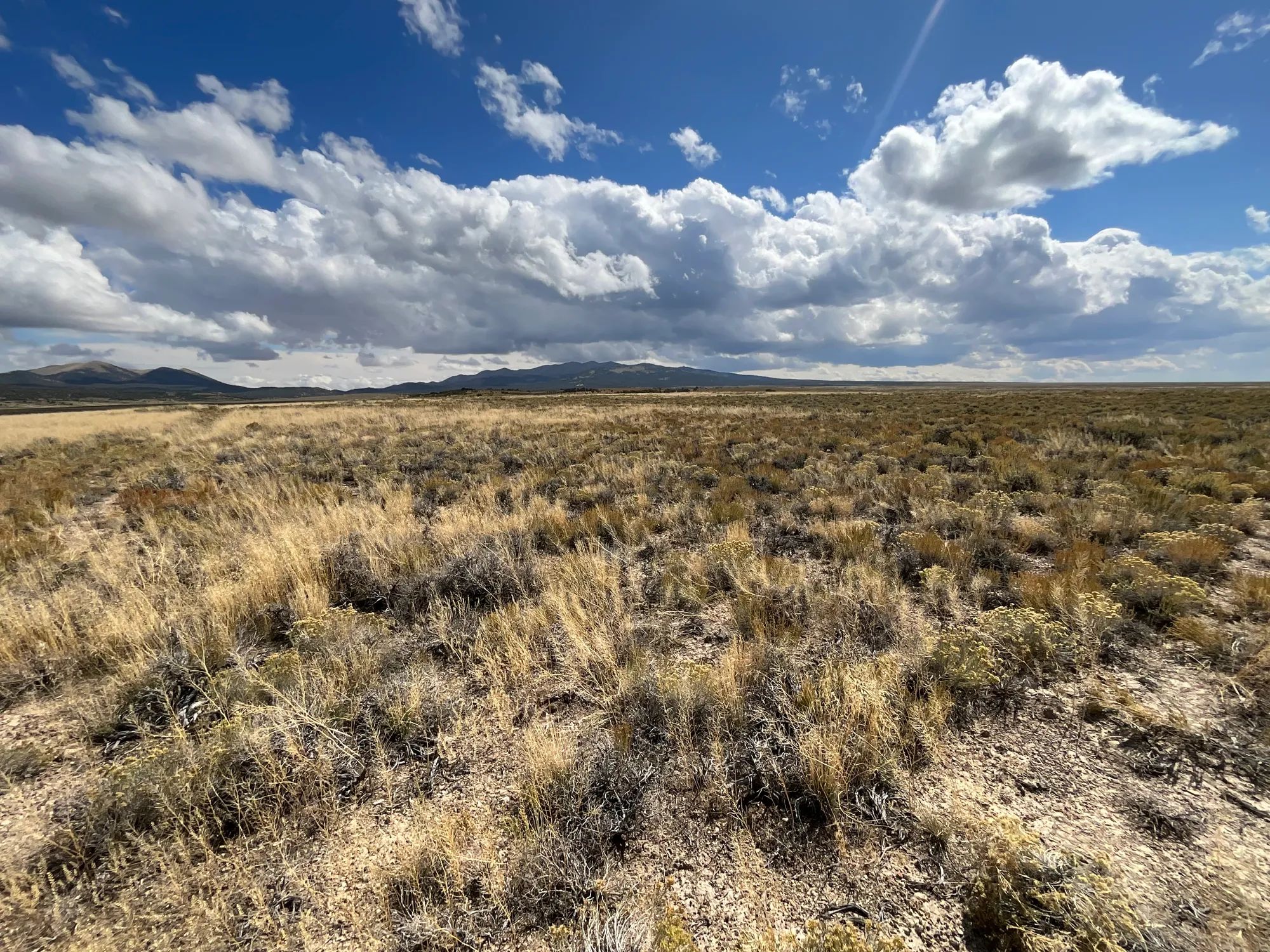 10 Acres in Elko County, NV in Elko County, NV