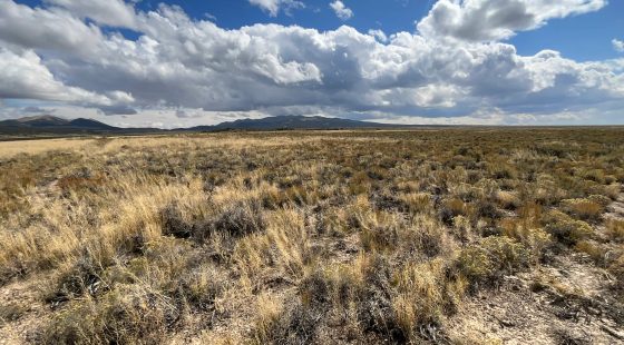 10 Acres in Elko County, NV in Elko County, NV